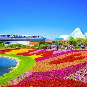 Westgate Town Center Resort & Spa